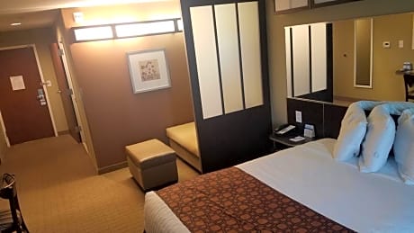 1 Queen Bed, Mobility/Hearing Impaired Accessible Studio Suite, Non-Smoking