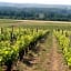 Gite du Calme 3 Star Bed & Breakfast Cognac