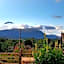 Baan AingDoi Homestay
