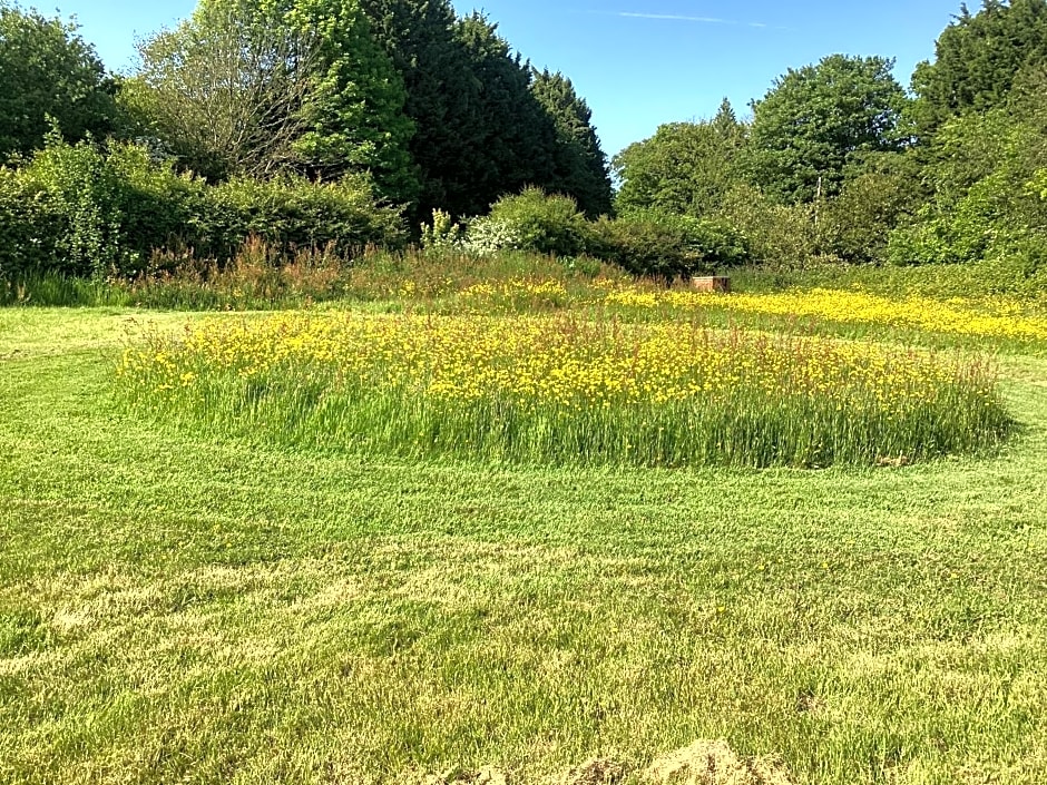 Vigo Retreat cabin 2