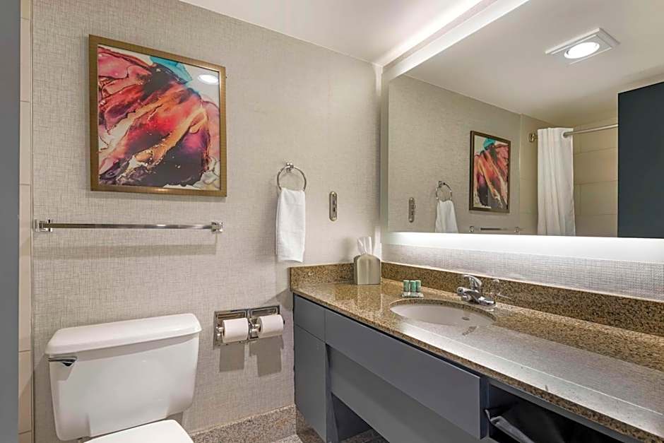 Brooklyn Center Hotel & Conference Center