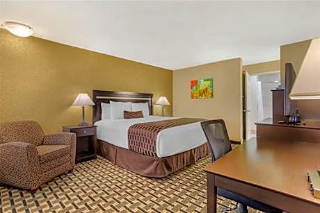 King Room - Pet-Friendly