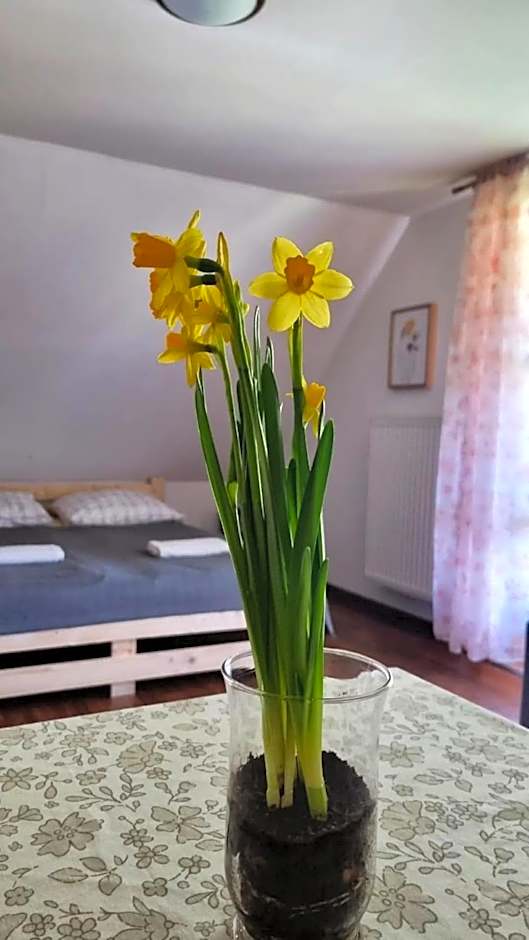 Dach Pod Sową