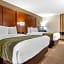 Comfort Inn Birmingham - Irondale