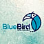 Blue Bird