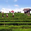 Ibis Styles Bali Denpasar