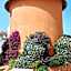 Hotel Saint Christophe