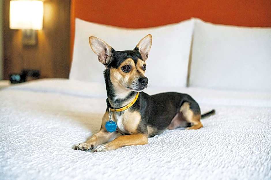 Hampton Inn By Hilton Lexington South