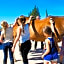 Diacceroni B&B Organic Farmhouse