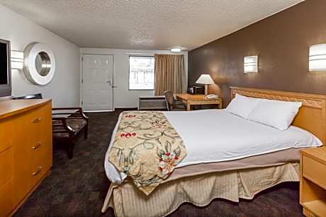 Double Room with Roll-In Shower - Disability Access
