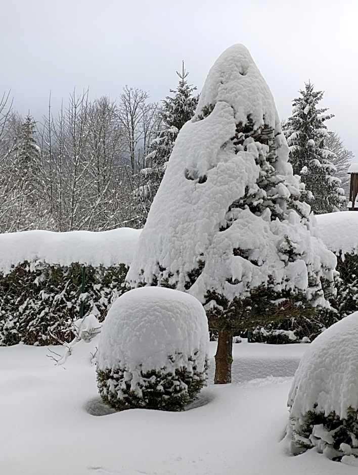 L'Eden de Floridylle