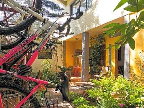 Chalet del Carmen, Coyoacán