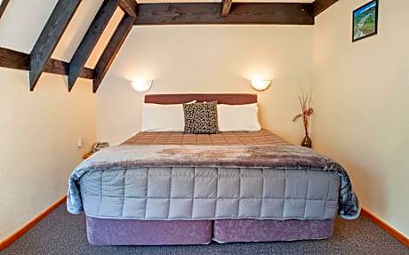 Superior One-Bedroom Apartment - Downstairs
