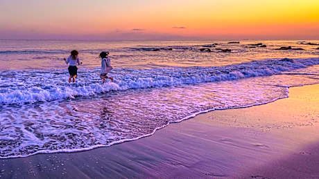 Sunny Coast Minamiboso Pet