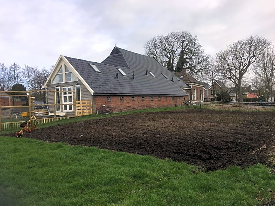 Onder De Boom