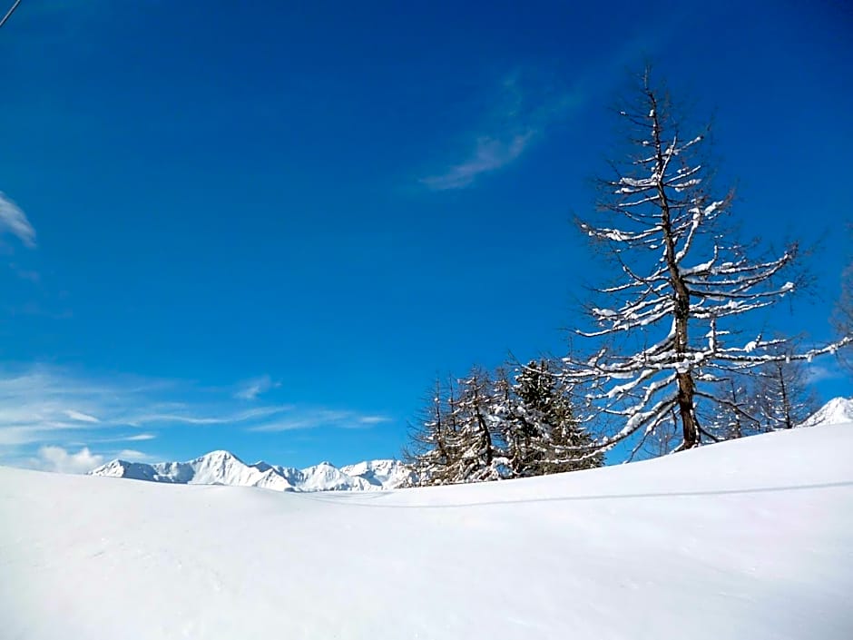 Domina Parco Dello Stelvio