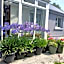 Conways B&B