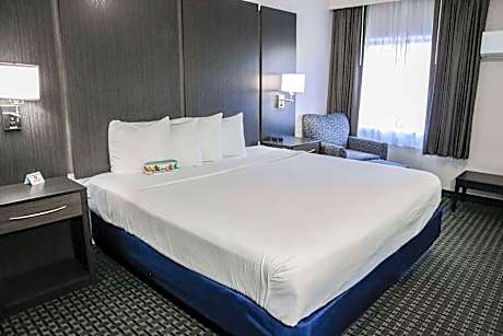 1 King Bed, Non-Smoking, Larger Room, Sofabed, Microwave And Refrigerator, Full Breakfast