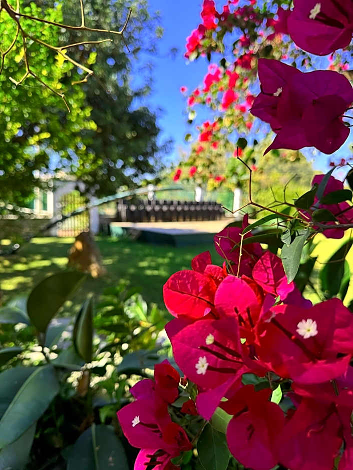 Sun Rise Hotel Apartments