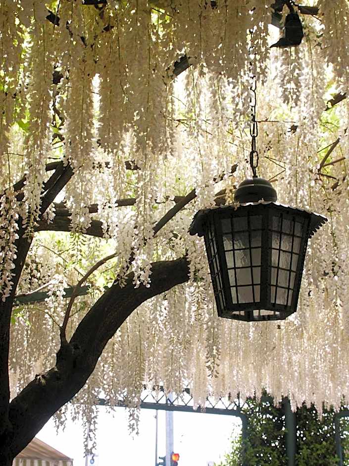 Albergo Ristorante Papa