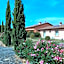 Fattoria Palazzeta - Pet & Family Friendly