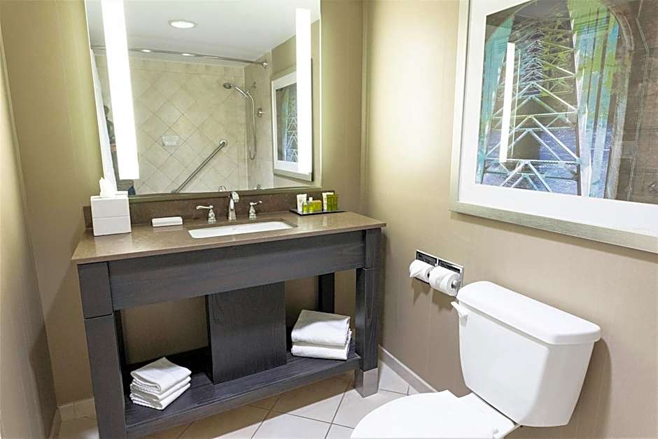 Hilton Niagara Falls-Fallsview Hotel - Suites