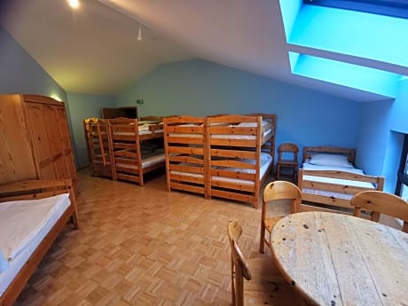 10-Bed Mixed Dormitory Room