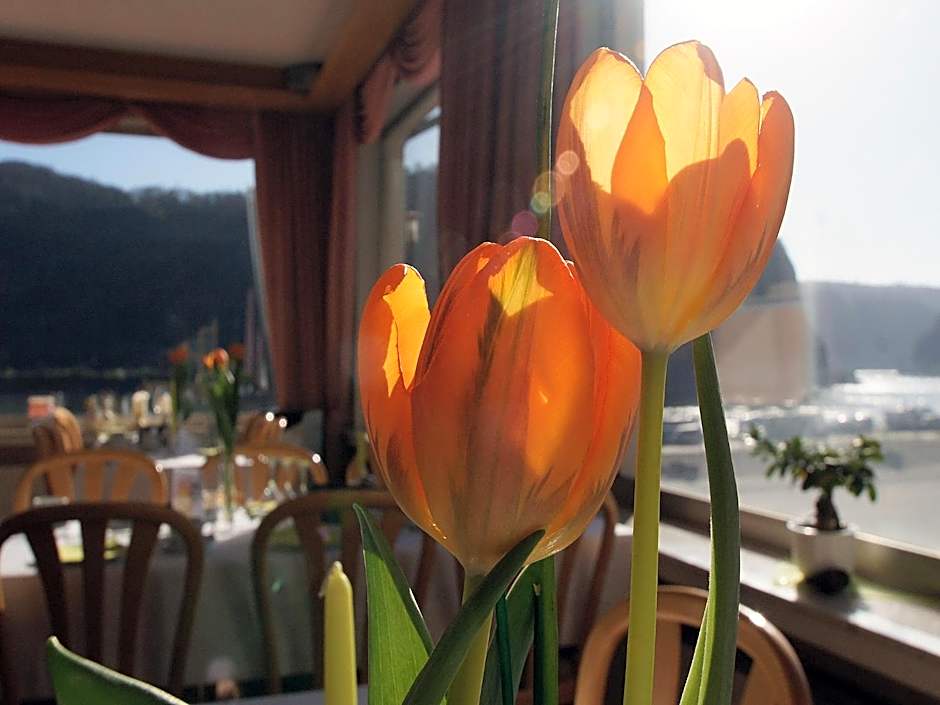 Hotel Cafe Restaurant Loreleyblick