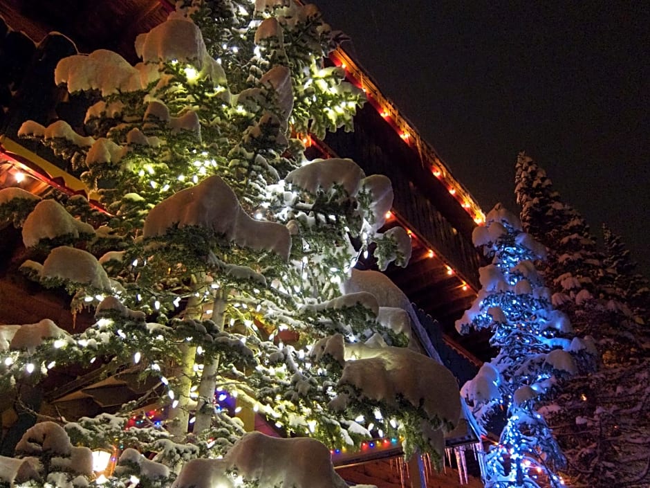 Chateau Apres Lodge