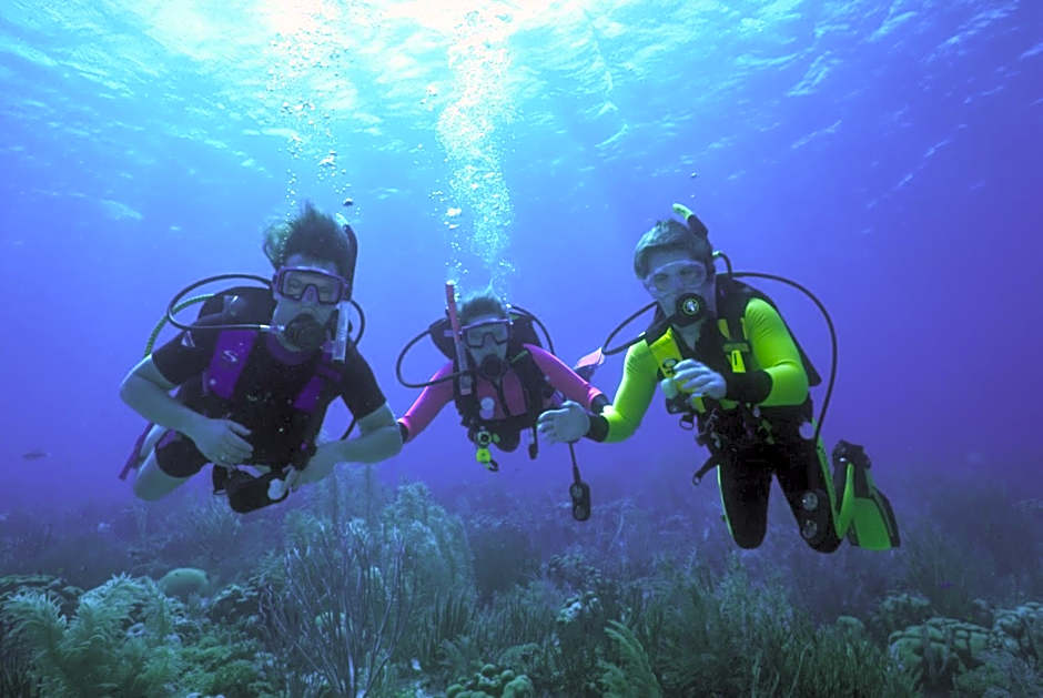 Harbour Village Beach Club