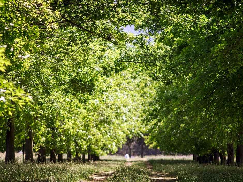 Duikersdrift Winelands Country Escape