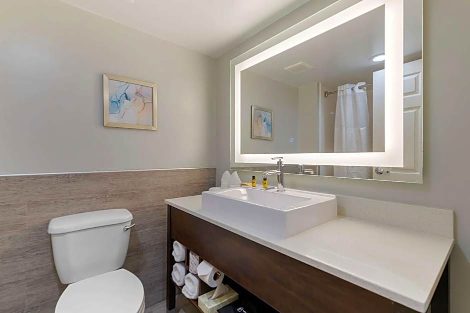 Best Western Plus McAllen Airport Hotel