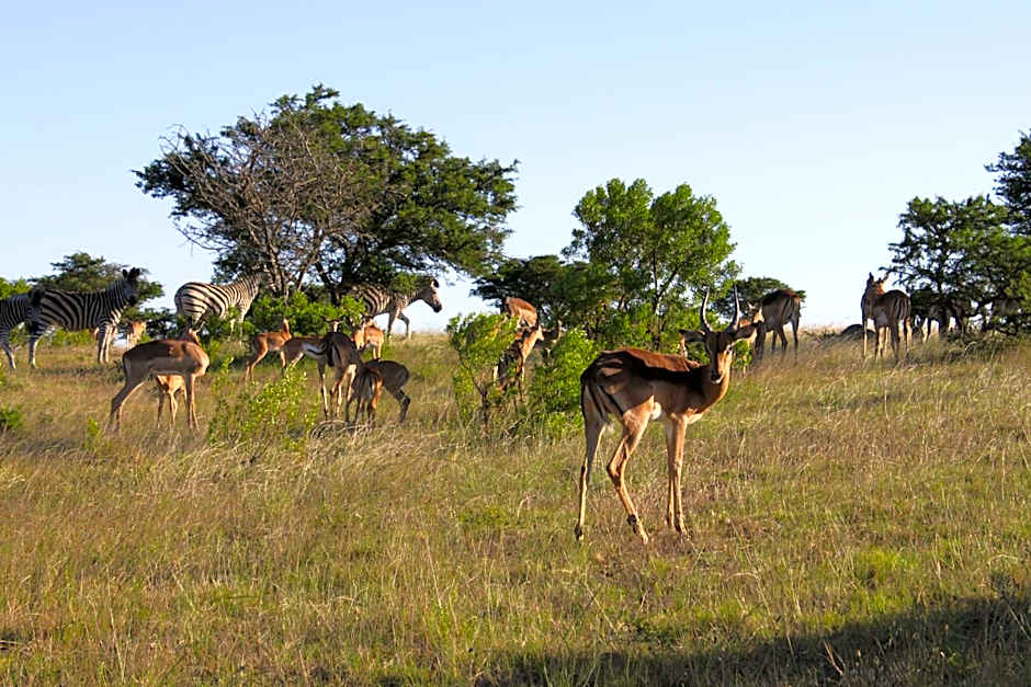 Mansfield Private Reserve