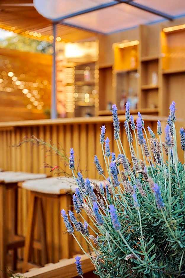 Hotel Materia
