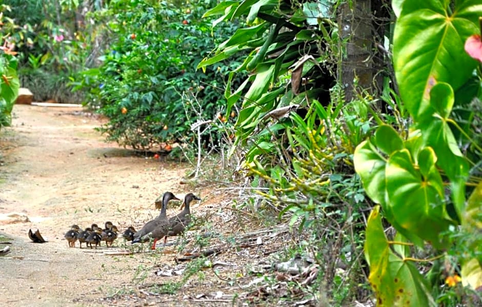 Sitio Recanto Primata