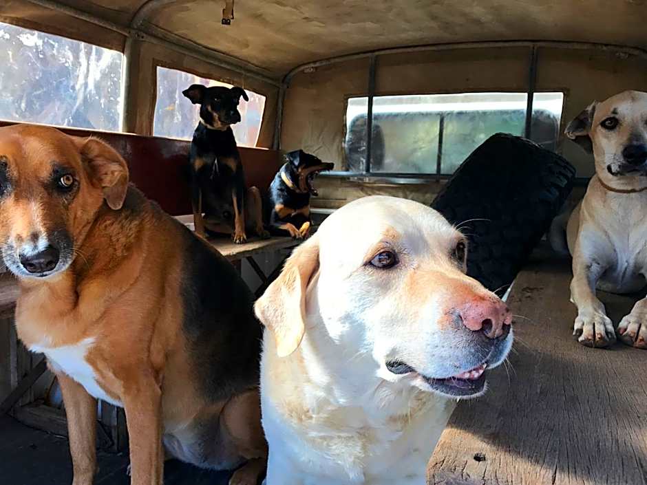 Pousada Rosa dos Ventos