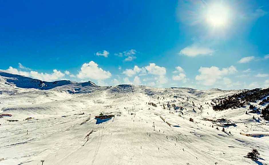 Kaya Uludag