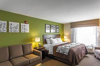 King Suite with Sofa Bed - Non-Smoking