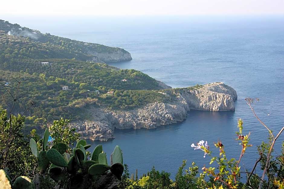 Hotel Al Mulino - Mediterranean Garden Retreat in AnaCapri