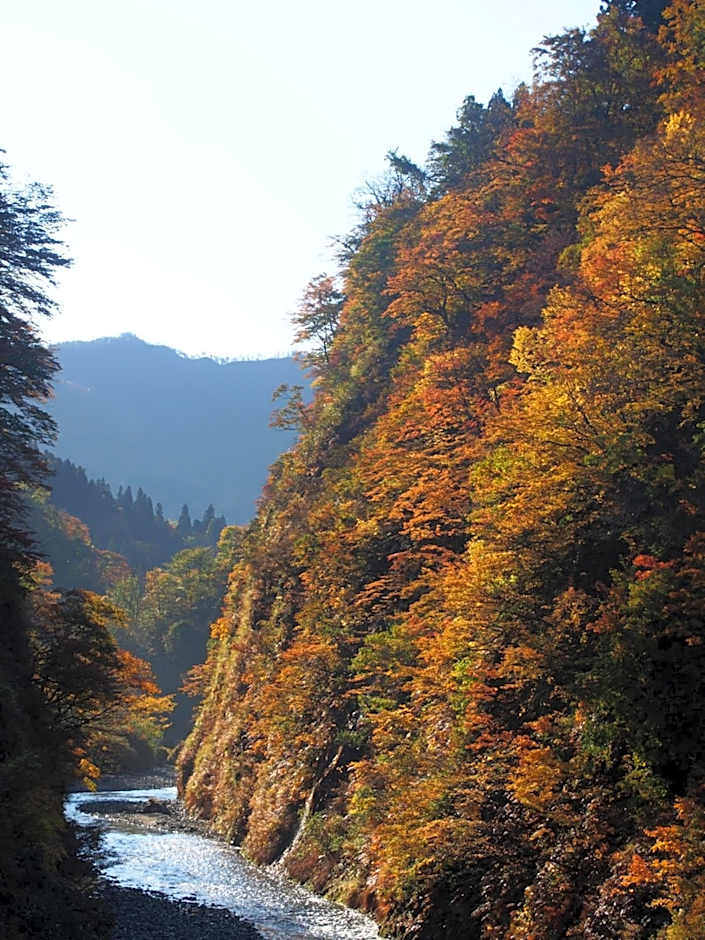 Setoguchi