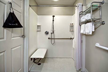 Accessible - 1 King - Mobility Accessible, Roll In Shower, Refrigerator, Wi-Fi, Non-Smoking, Full Breakfast