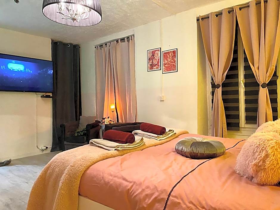 COSY & SPA Appartement Luxe JACUZZI SAUNA Suite Cristal