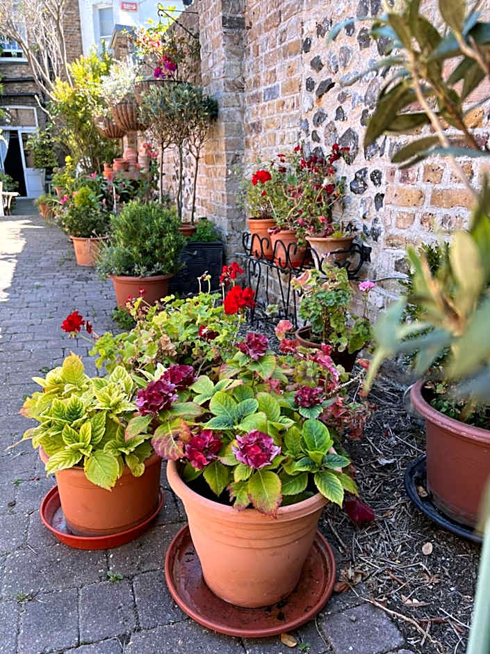 The Royal Harbour Hotel