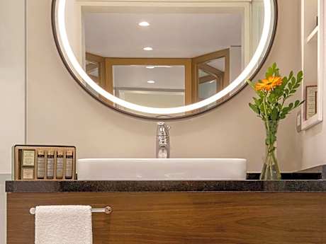 Deluxe  room with 1 king size bed