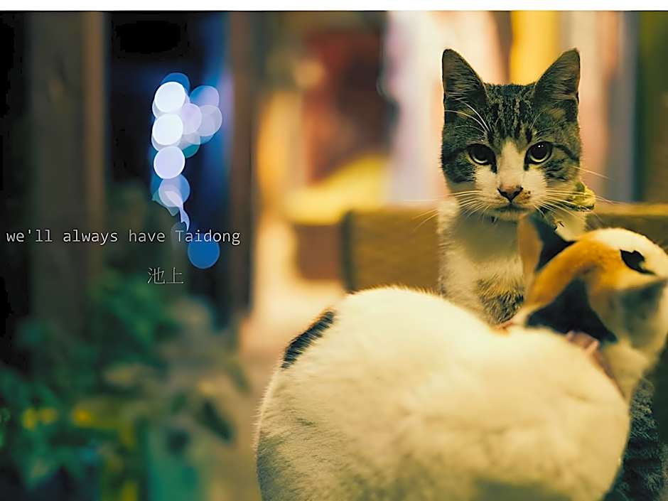 HaoHer Bed and Breakfast