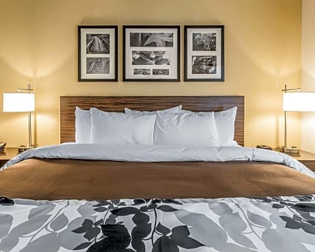 1 King Bed, Nonsmoking