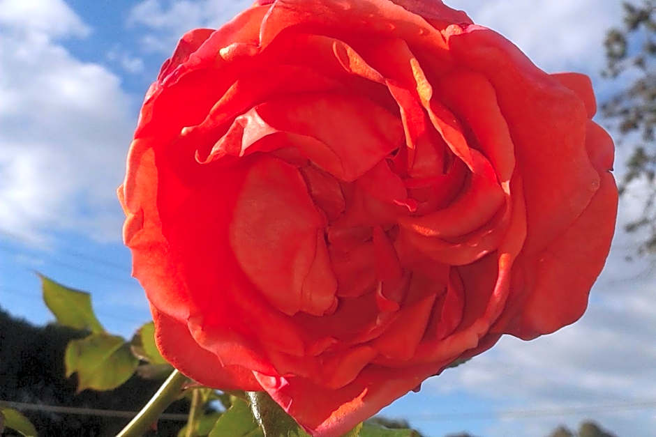 Hotel Gli Acquerelli