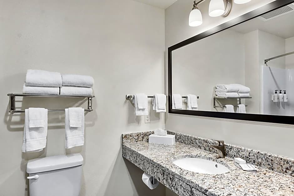 Cobblestone Hotel & Suites Denmark - Green Bay
