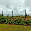 Ocean View Villas - F6