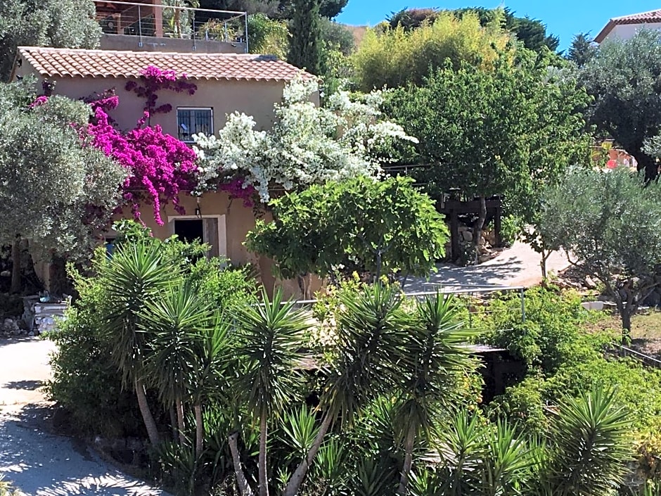 Les terrasses sur mer